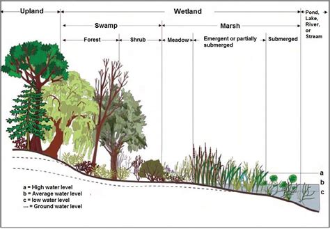 weston ma online permitting.
